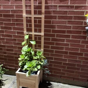 Rustic Red Cedar Planter with Trellis