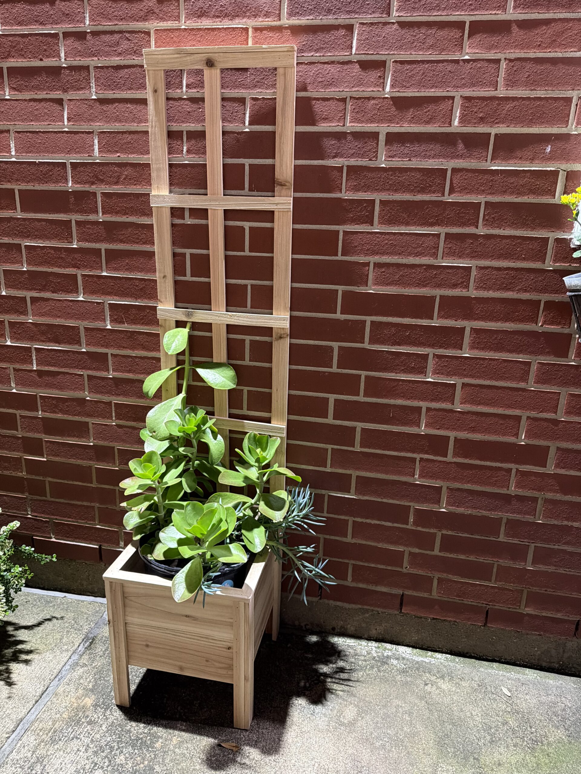 Rustic Red Cedar Planter with Trellis
